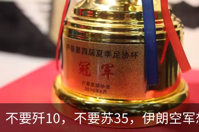 不要歼10，不要苏35，伊朗空军想要国产重型战斗机