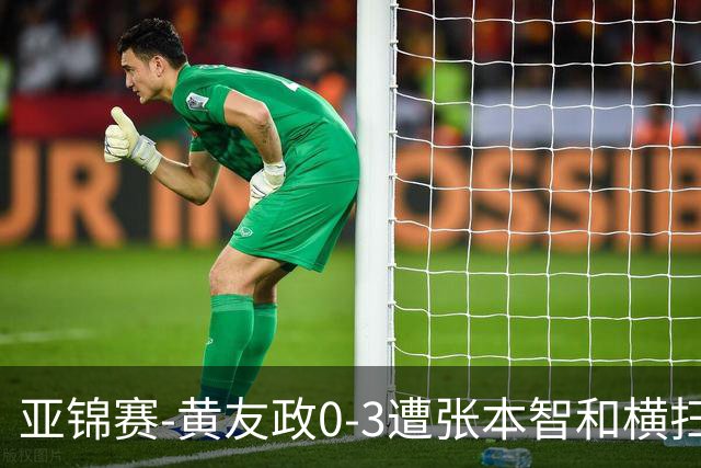 亚锦赛-黄友政0-3遭张本智和横扫 温瑞博向鹏李天阳进八强