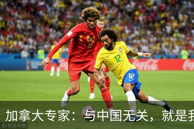 加拿大专家：与中国无关，就是我们干的