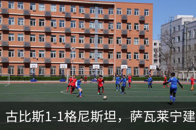 古比斯1-1格尼斯坦，萨瓦莱宁建功