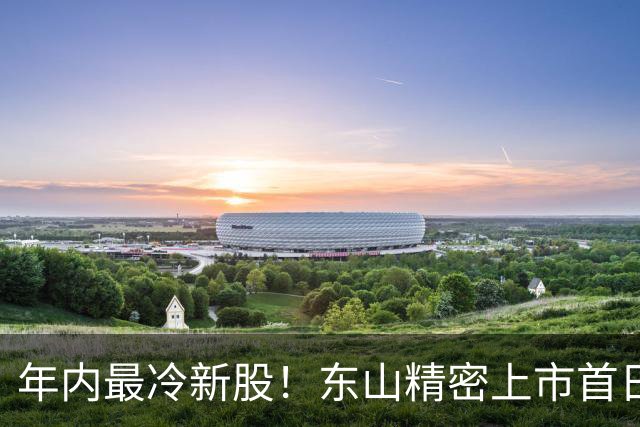 年内最冷新股！东山精密上市首日破发，有投资者浮亏318万港元