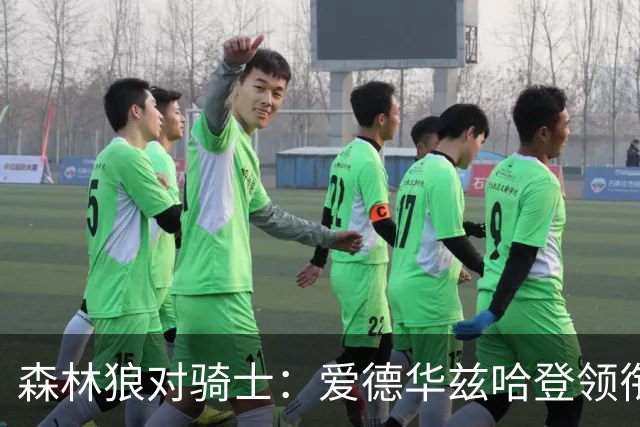 森林狼对骑士：爱德华兹哈登领衔，两队伤情成看点