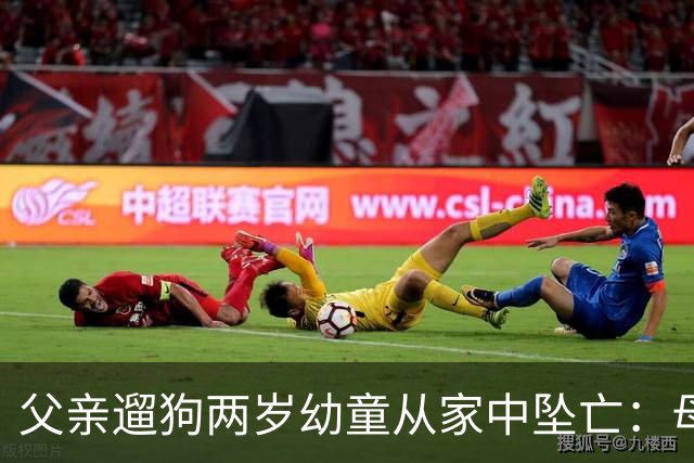 父亲遛狗两岁幼童从家中坠亡：母亲报案“过失致人死亡”未获立案，称将申请立案监督