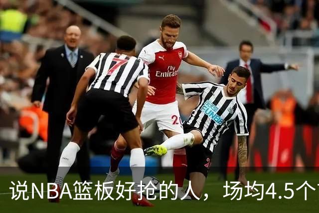 说NBA篮板好抢的人，场均4.5个前板排第4