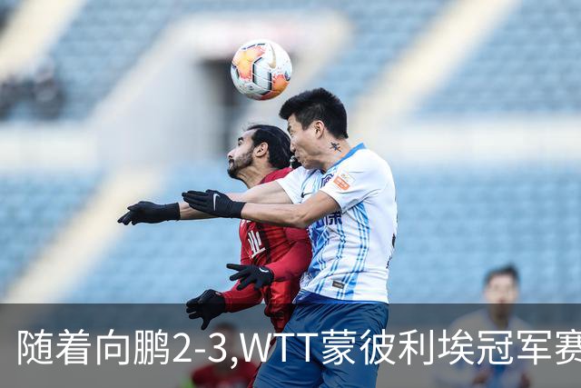 随着向鹏2-3,WTT蒙彼利埃冠军赛男单16强已出15席：仅3名国乒选手