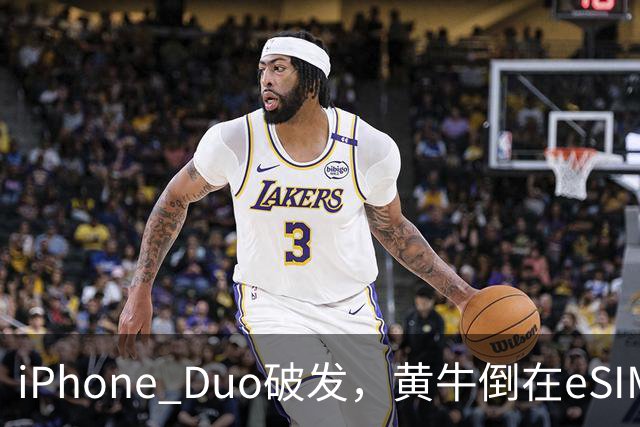 iPhone Duo破发，黄牛倒在eSIM